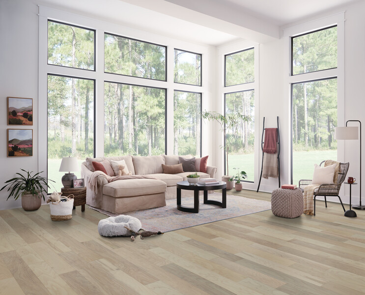 Living room area with a couch and large windows featuring birch engineered hardwood flooring