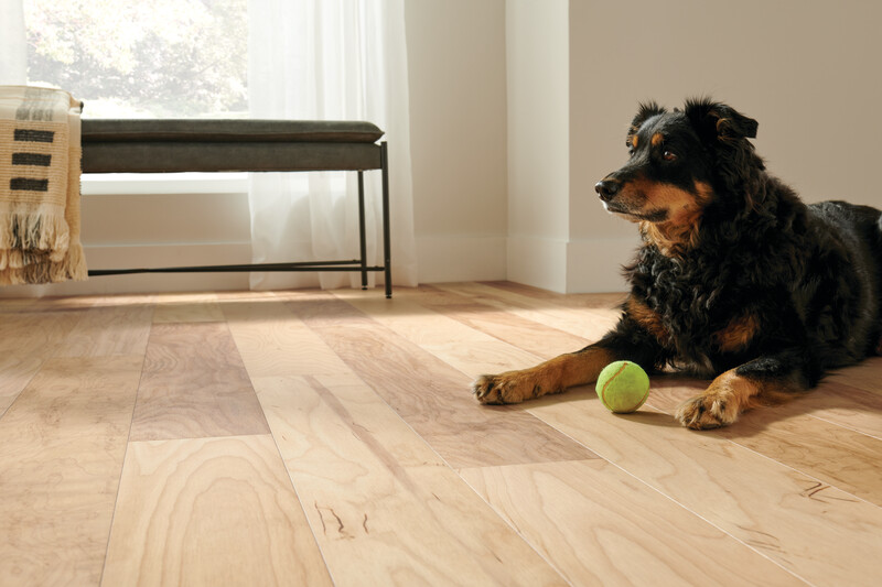 Living room area with a dog lying on the floor and a close up of Dogwood densified wood flooring