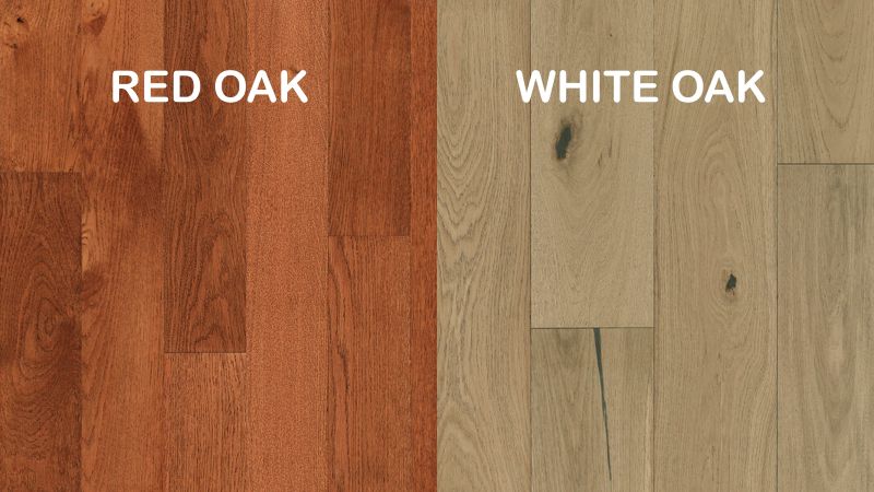 Close up showing the difference between red oak and white oak
